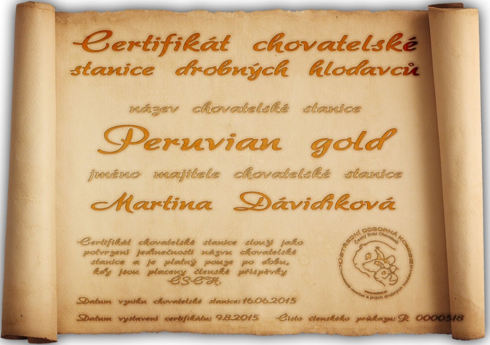 Certifikát